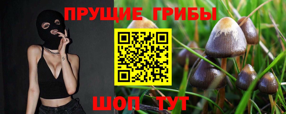 Псилоцибиновые грибы мухоморы  Вход с VPN  Мичуринск 