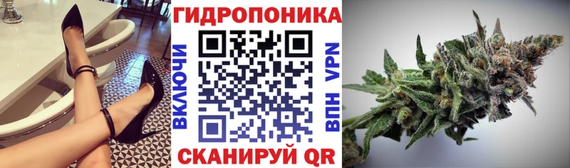 Канабис Bruce Banner  Мичуринск 