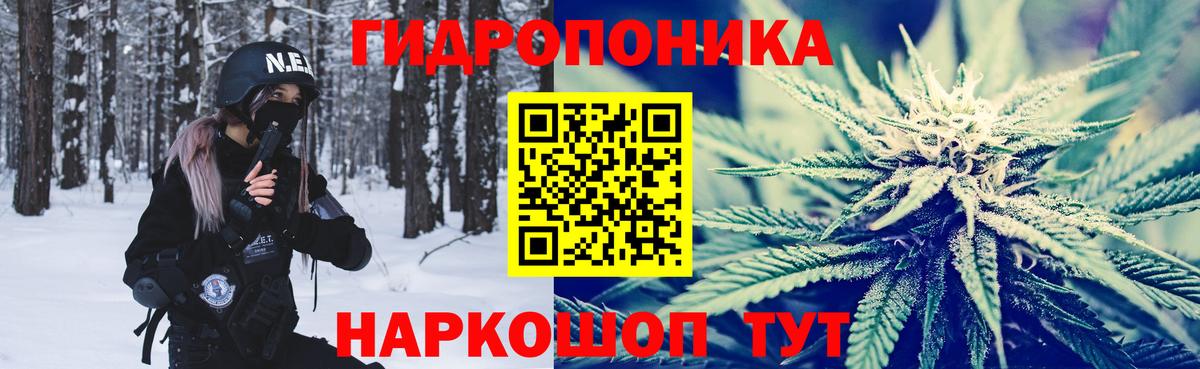 Мичуринск  Марихуана сатива  Вход с VPN  Шишки марихуана Ganja  Канабис Bruce Banner 